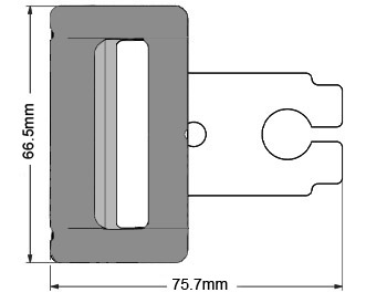 adjustable tongue